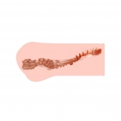 Мастурбатор-вагина Monica без вибрации - KOKOS - в Черкесске купить с доставкой