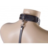 Черный ошейник с металлическими зажимами на соски и поводком - Sitabella - купить с доставкой в Черкесске