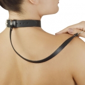 Зеленый меховой ошейник с кожаным поводком - Sitabella - купить с доставкой в Черкесске