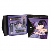 Подарочный набор Geishas secret из 5 предметов - Shunga - купить с доставкой в Черкесске