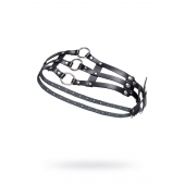 Черный кожаный пояс с кольцами - Pecado - купить с доставкой в Черкесске