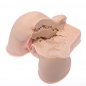 Мастурбатор-полуторс Naked Factory Kate - Naked Factory - в Черкесске купить с доставкой