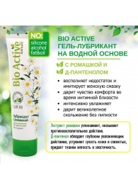 Лубрикант на водной основе Bio Active - 100 гр. - Биоритм - купить с доставкой в Черкесске