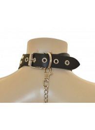 Ошейник  Веселый Роджер - Sitabella - купить с доставкой в Черкесске