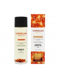 Органическое массажное масло CARNELIAN APRICOT - 100 мл. - Exsens - купить с доставкой в Черкесске