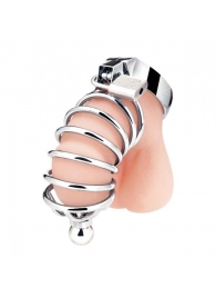 Серебристая клетка для члена Urethral Play Cage - BlueLine - купить с доставкой в Черкесске
