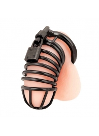 Черная металлическая клетка с замком Deluxe Chastity Cage - BlueLine - купить с доставкой в Черкесске