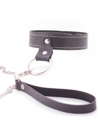 Узкий однослойный ошейник с поводком - Crazy Handmade - купить с доставкой в Черкесске