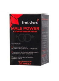 Капсулы для мужчин Erotichard male power с пантогематогеном - 20 капсул (0,370 гр.) - Erotic Hard - купить с доставкой в Черкесске