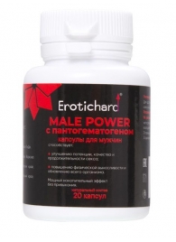Капсулы для мужчин Erotichard male power с пантогематогеном - 20 капсул (0,370 гр.) - Erotic Hard - купить с доставкой в Черкесске