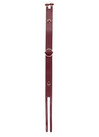 Бордовый ремень Halo Waist Belt - размер L-XL - Shots Media BV - купить с доставкой в Черкесске