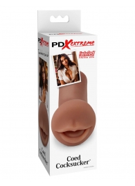 Мастурбатор-ротик Coed Cocksucker - Pipedream - в Черкесске купить с доставкой