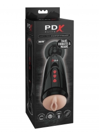 Мастурбатор-вагина с вибрацией Dirty Talk Starter Stroker - Pipedream - в Черкесске купить с доставкой
