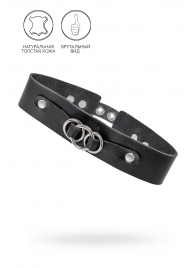 Черный чокер-ошейник со связанными кольцами на подложке - Pecado - купить с доставкой в Черкесске
