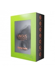 Черное эрекционное кольцо Lingus с вибрацией - Adrien Lastic - в Черкесске купить с доставкой