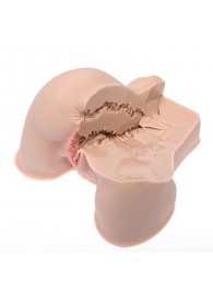 Мастурбатор-полуторс Naked Factory Kate - Naked Factory - в Черкесске купить с доставкой