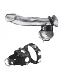 Утяжка для мошонки и пениса Cock Ring With 1  Ball Stretcher And Optional Weight Ring - BlueLine - купить с доставкой в Черкесске