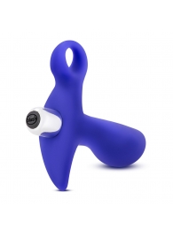 Синий стимулятор простаты с ручкой-кольцом Performance Prostimulator 02 - Blush Novelties - в Черкесске купить с доставкой