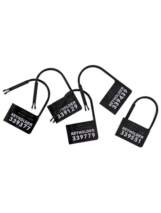 Набор для мужского пояса верности Cock Cage Set - Orion - купить с доставкой в Черкесске