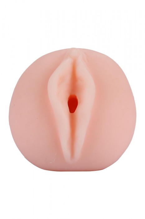 Телесный мастурбатор-вагина Tracey - Dream Toys - в Черкесске купить с доставкой