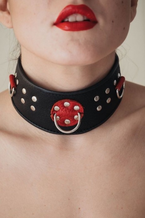 Кожаный ошейник с клепками и кольцами - БДСМ Арсенал - купить с доставкой в Черкесске