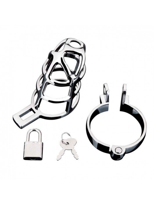 Серебристая металлическая клетка для члена с замком Enslave Cock Cage - BlueLine - купить с доставкой в Черкесске