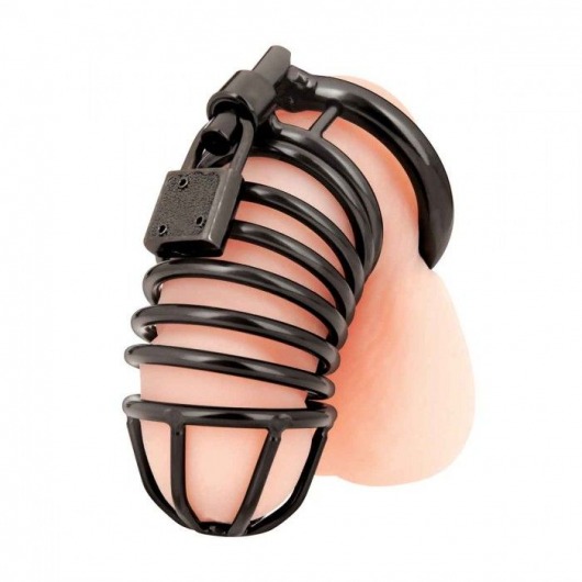 Черная металлическая клетка с замком Deluxe Chastity Cage - BlueLine - купить с доставкой в Черкесске