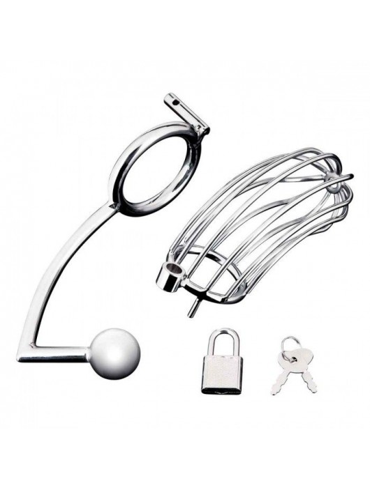 Серебристая металлическая клетка с анальным стимулятором Cock Cage - BlueLine - купить с доставкой в Черкесске