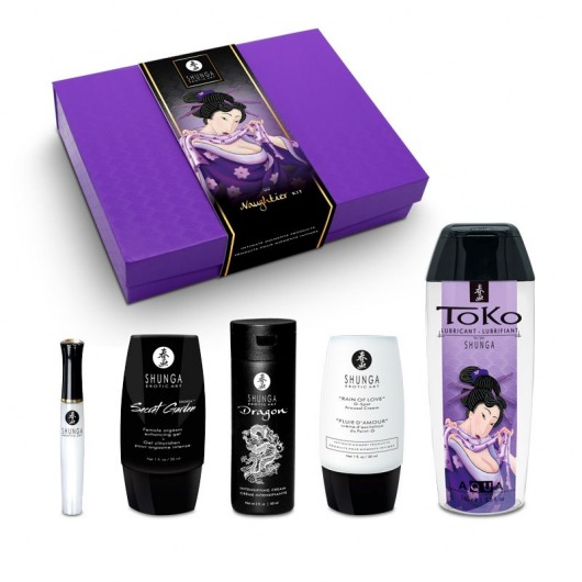 Подарочный набор Naughter Kit - Shunga - купить с доставкой в Черкесске