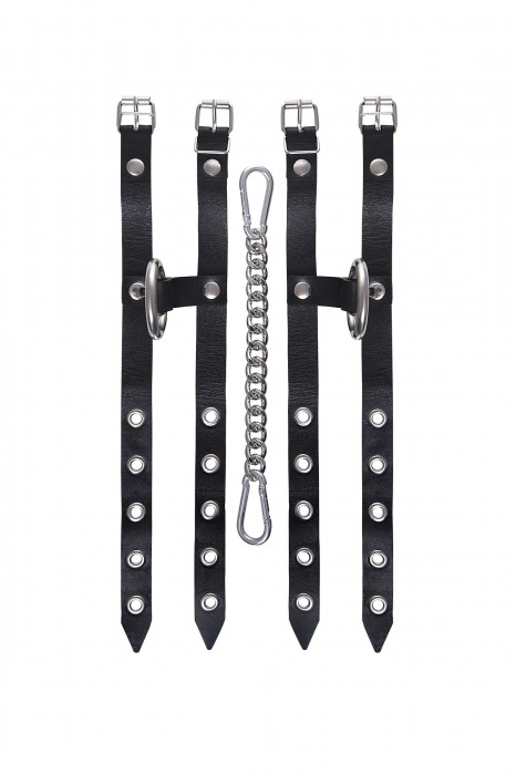 Черные однослойные кожаные оковы из двух ремешков - Pecado - купить с доставкой в Черкесске