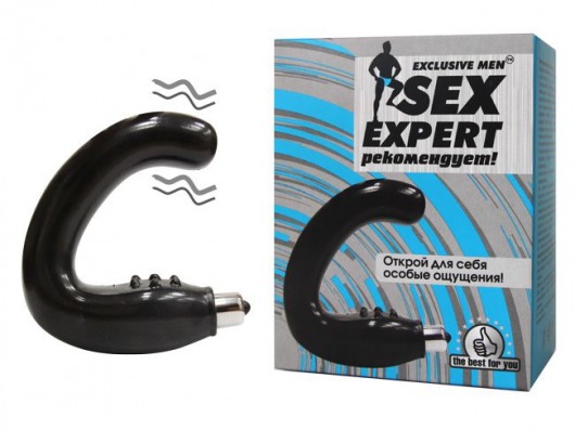Чёрный массажёр простаты серии Sex Expert - Sex Expert - в Черкесске купить с доставкой