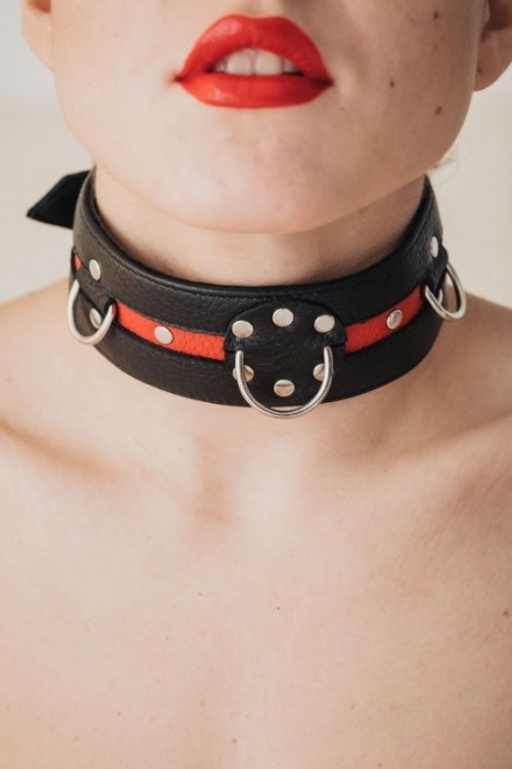 Черно-красный ошейник на пряжке - БДСМ Арсенал - купить с доставкой в Черкесске