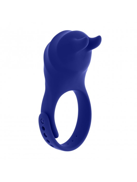 Синее эрекционное виброкольцо с клиторальной подушечкой и пультом ДУ Adjustable Fun Ring - Zero Tolerance - в Черкесске купить с доставкой