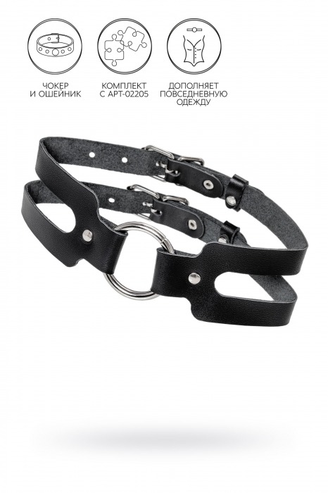 Черный кожаный чокер-ошейник из двух ремешков - Pecado - купить с доставкой в Черкесске