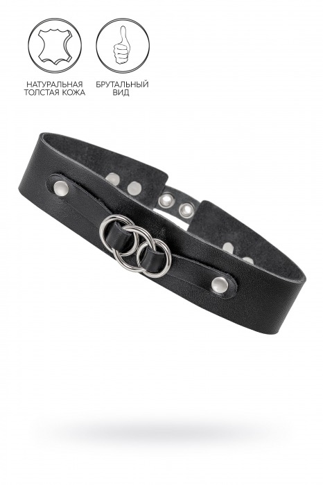 Черный чокер-ошейник со связанными кольцами на подложке - Pecado - купить с доставкой в Черкесске