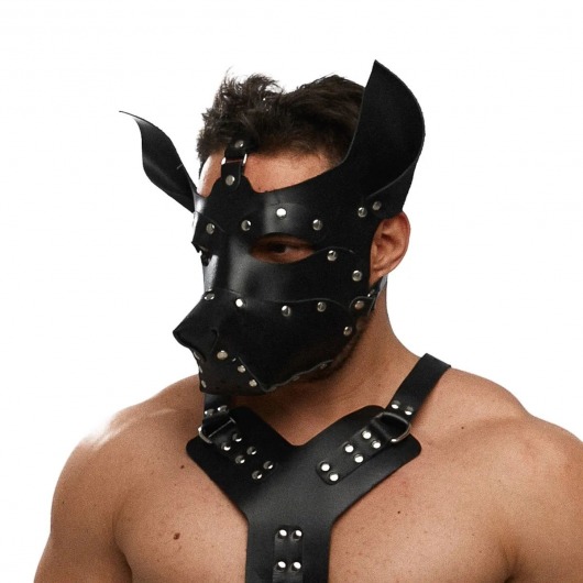 Черная кожаная маска «Собака» - Crazy Handmade - купить с доставкой в Черкесске