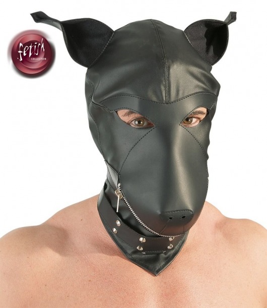 Шлем-маска Dog Mask в виде морды собаки - Orion - купить с доставкой в Черкесске