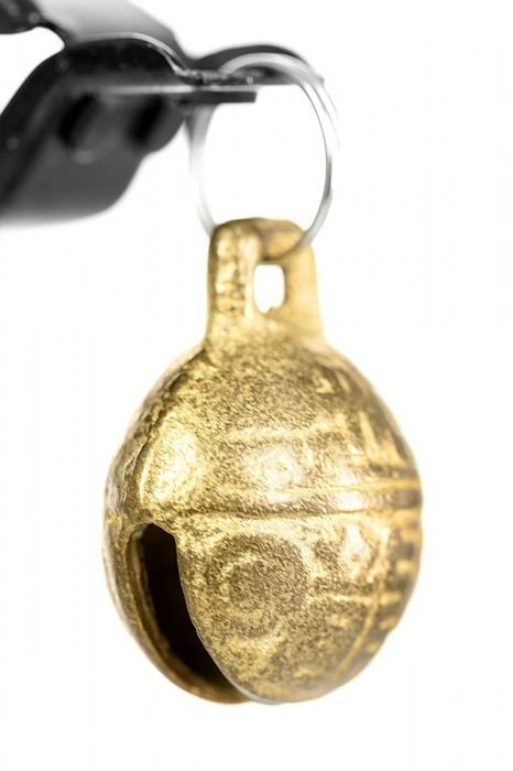 Черно-золотистые зажимы для сосков TOYFA Theatre - ToyFa - купить с доставкой в Черкесске